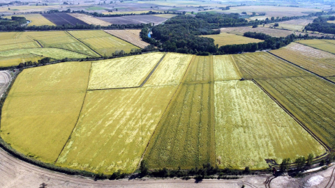 Tunca Nehri'nde yatak temizliği yapılıp, su biriktirme alanları oluşturuluyor