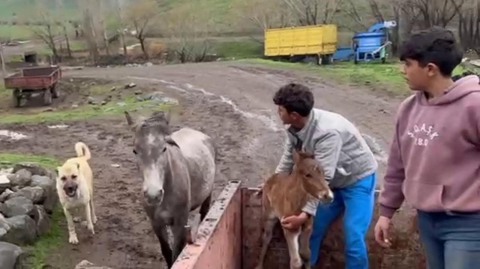 'Kral', yine yalnız bırakmadı