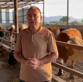 Dananın saldırısına uğrayan iş insanı, 3 gün sonra öldü