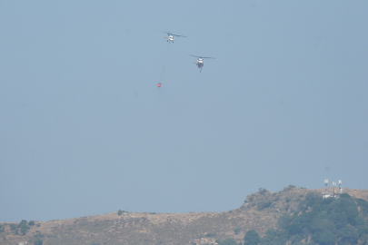 Bodrum'da maki yangını (2)