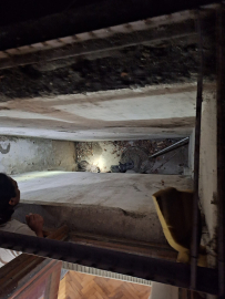 Havalandırma boşluğunda mahsur kalan 2 yavru kediyi itfaiye kurtardı