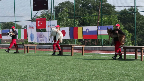 İstanbul- 9 ülkeden 27 arama kurtarma köpeği İstanbul'daki şampiyonada
