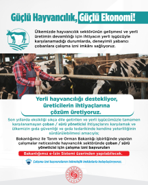 Yabancı çobanlara çalışma izni başvuruları başladı