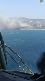 İzmir'de orman yangını /Video eklendi