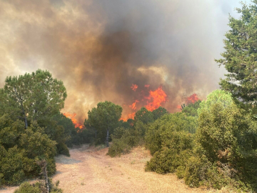 Çanakkale'de orman yangını/Ek fotoğraflar