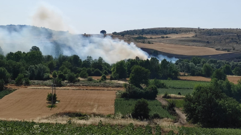 Bursa'da orman yangını (3)