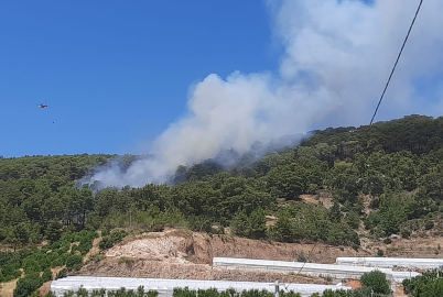 Antalya'da orman yangını