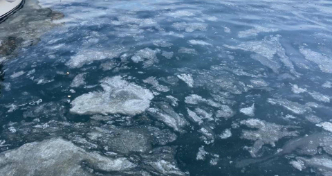 Çanakkale Boğazı'nda müsilaj etkisini kaybetti