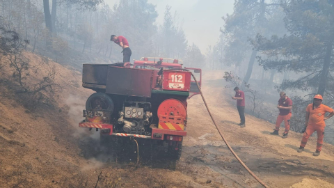 Sakarya’da orman yangını (3)