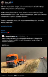 İstanbul - Silivri'deki orman yangını kontrol altına alındı: 1 kişi gözaltında - 13 / Ek bilgi
