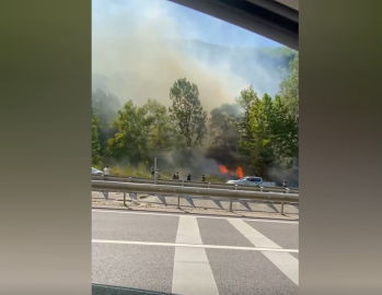 Bursa'da ağaçlık alanda çıkan yangın söndürüldü