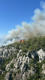 Muğla- Milas'ta orman yangını /Video eklendi