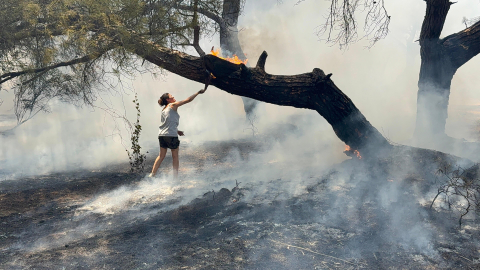 Antalya'da orman yangını / Ek fotoğraflar