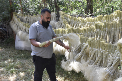 Mekanları süsleyen pampasın 'zahmetli' yolculuğu