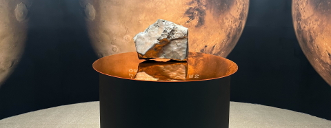 Mars'tan dünyaya düşen en büyük gök taşı 5,3 milyon dolara satıldı