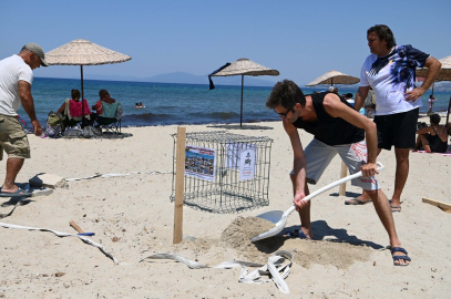 Kuşadası’nda 68 caretta caretta yumurtası zarar görmemesi için güvenli bölgeye taşındı