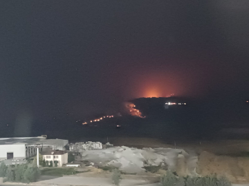 Sakarya'daki orman yangını 2'nci gününde (7)