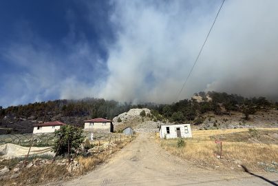 Antalya'da 4 orman yangını kontrol altında, 2'sine müdahale sürüyor (13)