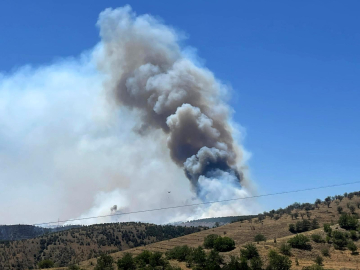 Ankara'da Eymir Gölü çevresindeki ormanda yangın (2)