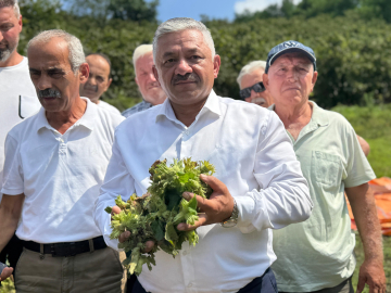 TZOB Üyesi Soydan:  Fındığı tabanın üzerinde fiyat oluşması için kontrollü şekilde pazara indireceğiz