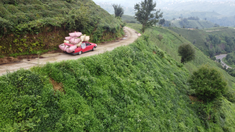 Rize - Çay naklinde otomobil ‘kamyonet’ oldu /Video eklendi