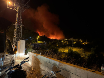 Hatay'da orman yangını; 1 mahalle tahliye edildi (2)