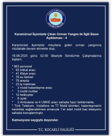 Kocaeli'de orman yangını: 3 mahalle tahliye edildi (5)