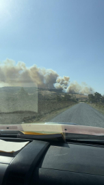 Çanakkale'de orman yangını