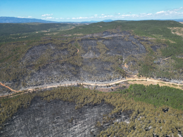 Karabük ve Kastamonu’da orman yangınlarına müdahale sürüyor