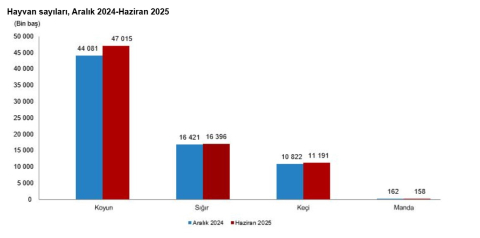 TÜİK: Büyükbaş sayısı 17,2 milyon, küçükbaş sayısı 58,2 milyon oldu