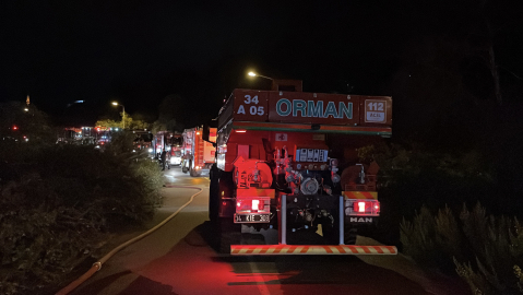 İstanbul -Beykoz'da orman yangını büyümeden söndürüldü