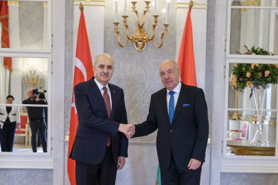 TBMM Başkanı Kurtulmuş, Macaristan Cumhurbaşkanı Sulyok tarafından kabul edildi
