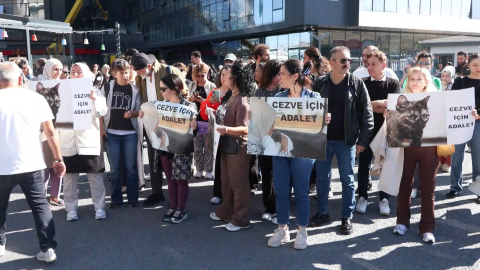 İstanbul - Başakşehir'de kediye işkence davasında karar: Sanık hakkında 3 yıl 8 ay hapis cezası