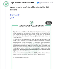 Van'da alıkonulan kurt, DKMP ekipleri tarafından koruma altına alındı