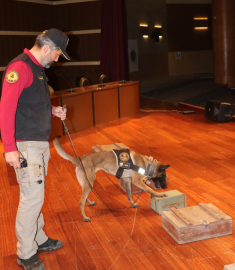 Gösteri yapan narkotik köpek 'Hera' ile fotoğraf için sıraya girdiler