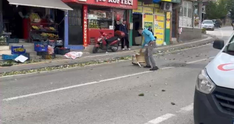 Bursa'da lodos hayatı olumsuz etkiledi; ağaçlar devrildi, çatılar uçtu (2)