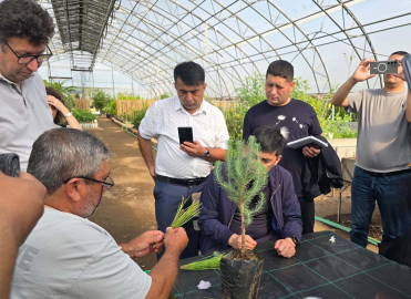Muğla'da Özbek ormancılardan teknik inceleme