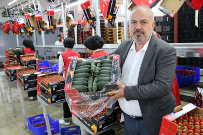 Ukrayna'nın 'domates' ve 'dikenli salatalık' kararı için çözüm çağrısı