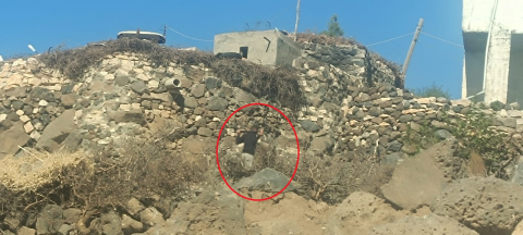 Mardin'de 2 aile arasında kavga; 4 yaralı, kaçan şüpheli aranıyor / Video eklendi