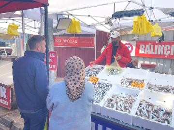 Hamsinin fiyatı gelen balık miktarına göre değişiyor