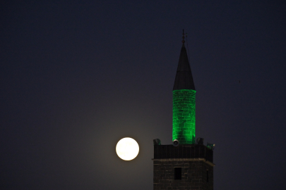 Diyarbakır’da ‘Kunduz ayı’ kartpostallık görüntüler oluşturdu