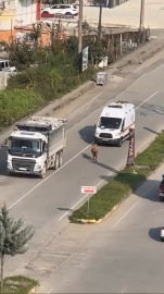 Rize’de kaçan inek sürücülere zor anlar yaşattı; o anlar kamerada