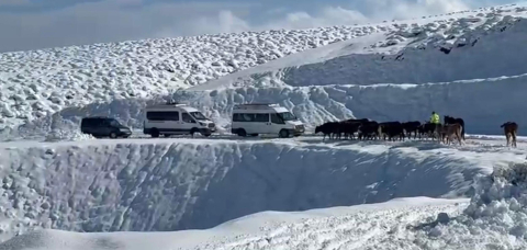 Muş'ta 14 köy yolu kardan kapandı