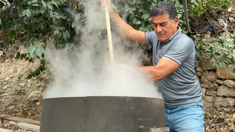 Hatay'da defne yağının litresi bin liradan alıcı buluyor