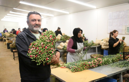 Avrupa ülkelerine 12 milyon dolarlık yılbaşı çiçeği