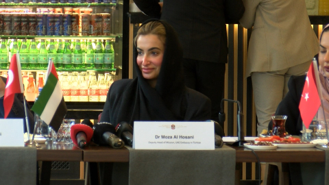 BAE kültürü, Ankara'da tanıtılacak