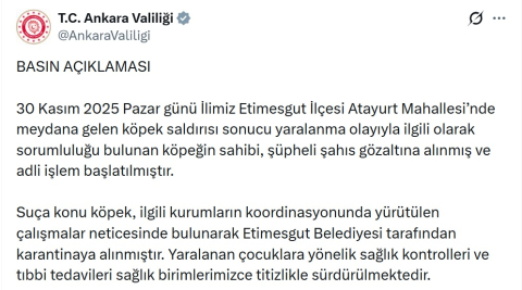Ankara'da 2 kardeşe saldıran pitbull ve sahibi yakalandı (2)