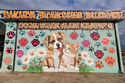 Sakarya’da Sokak Hayvanları Doğal Yaşam Kampüsü açıldı