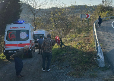 Otomobil fındık bahçesine uçtu; anne ve kızı yaralandı