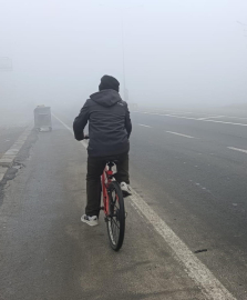 Ağrı'da yoğun sis; görüş mesafesi 10 metrenin altında